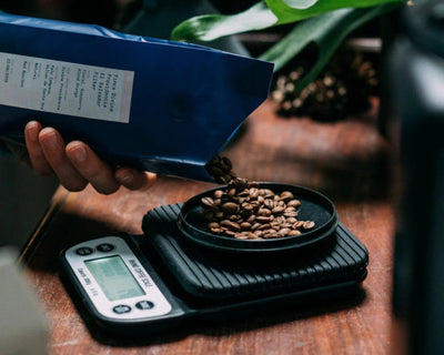 Rhino Coffee Gear Brewing Scale
