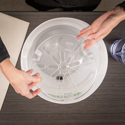 Toddy Commercial Model Lift