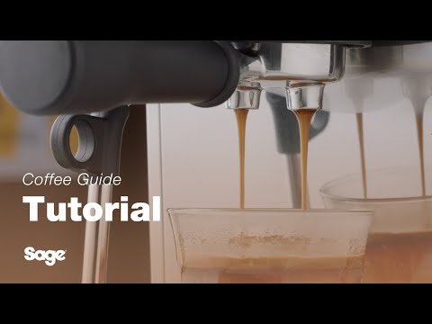 Sage Espresso Machine - The Bambino Plus