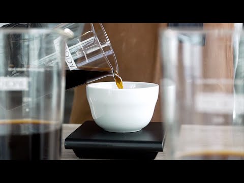 Toddy Cold Brew Cupping Kit Tree Free Filter - Pack of 50