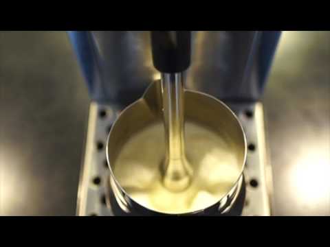 WPM ProSteam Fully Automatic Milk Steamer