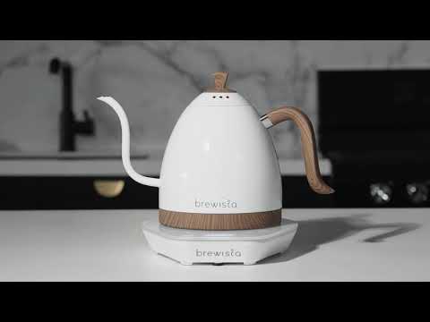 Brewista Artisan Variable Gooseneck Kettle – 1.0L Electric  Kettle